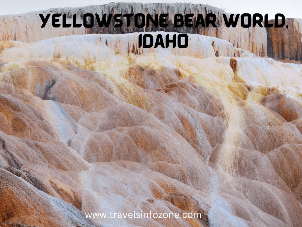 Yellowstone Bear World, Idaho